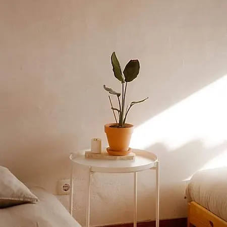 Nana House Ericeira - Yoga & Surf Ξενοδοχείο *