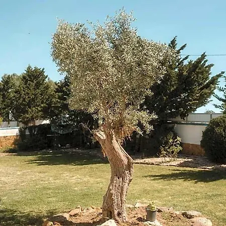 Ξενοδοχείο Nana House Ericeira - Yoga & Surf *